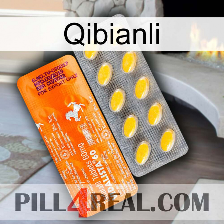 Qibianli new05